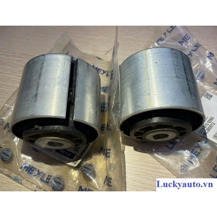 Ổ cao su càng cong Mercedes C250_ 205 333 23 00- A 205 333 23 00